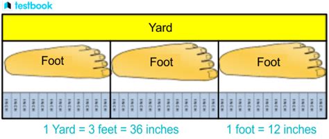 100 Yards Equals How Many Feet