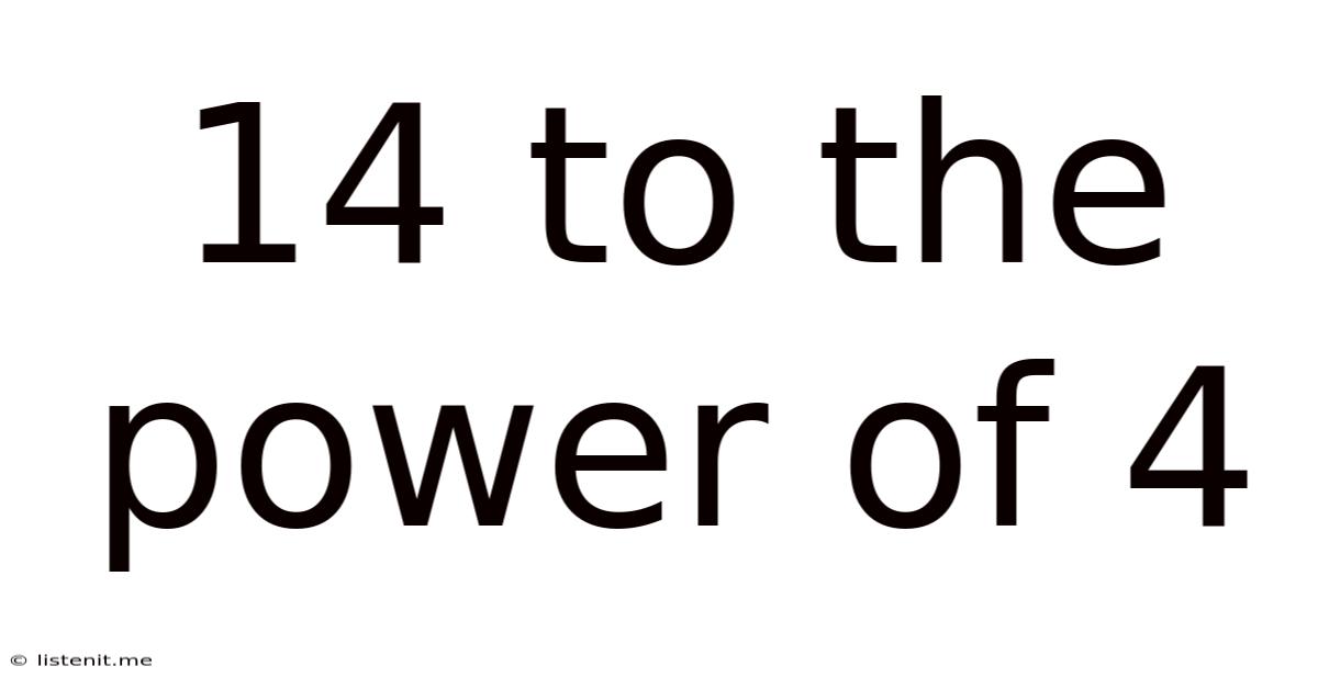 14 To The Power Of 4