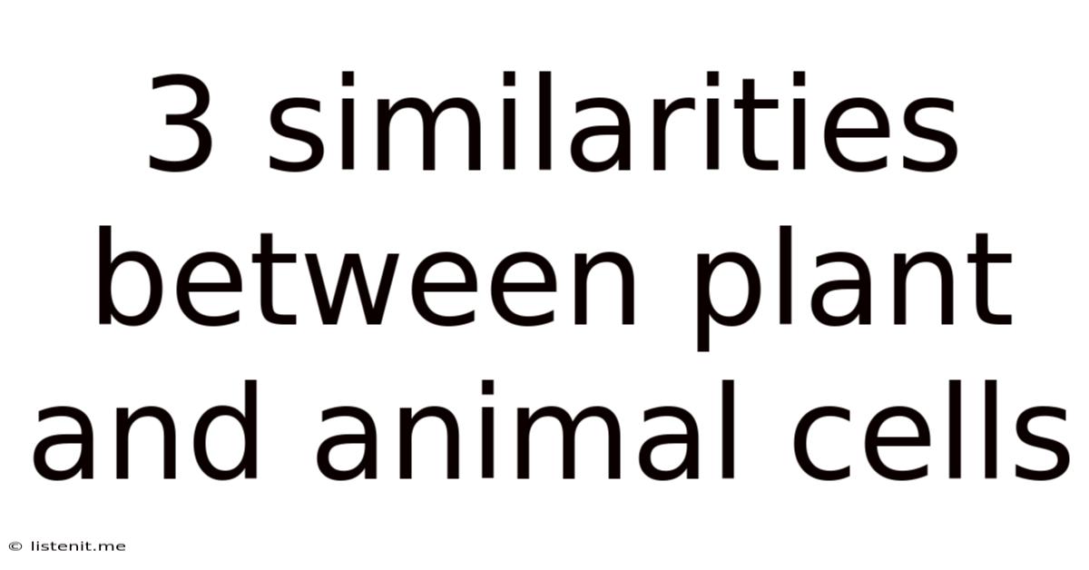 3 Similarities Between Plant And Animal Cells