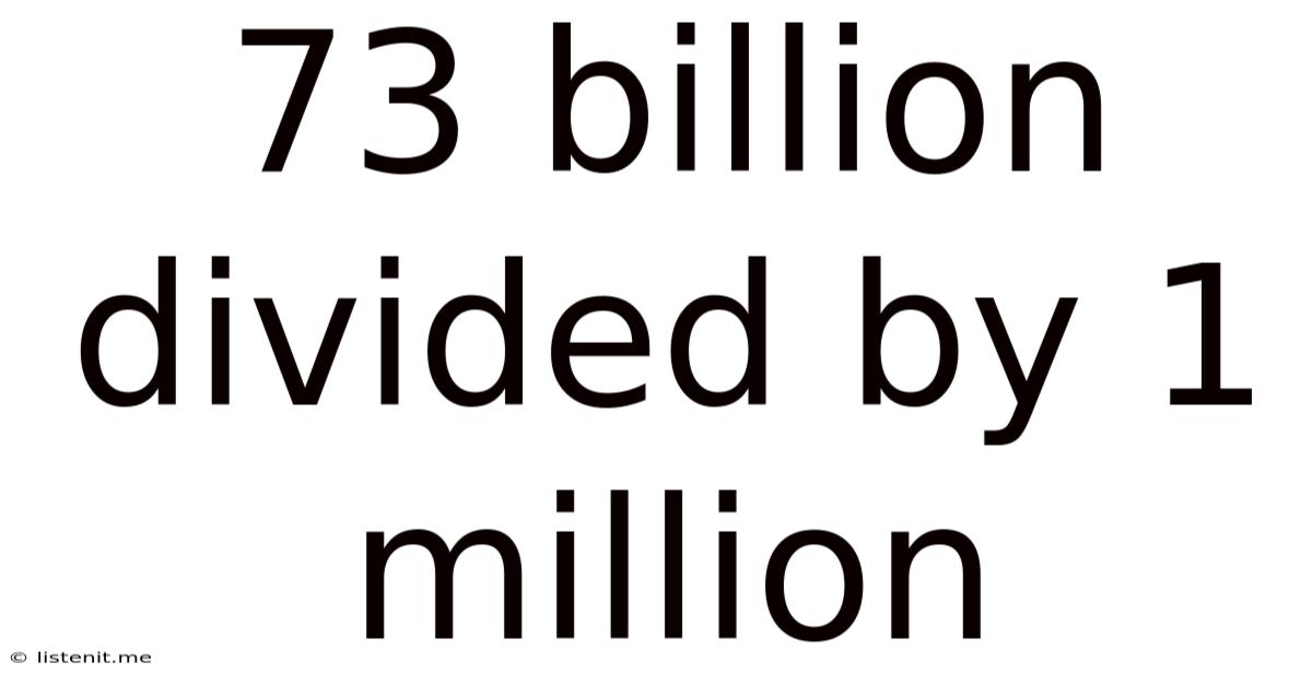 73 Billion Divided By 1 Million