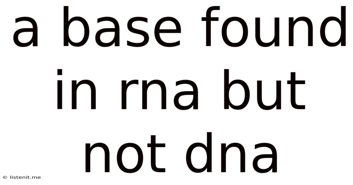 A Base Found In Rna But Not Dna