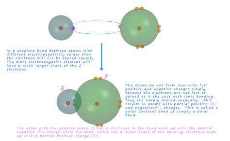 A Bond In Which Electrons Are Shared Unequally