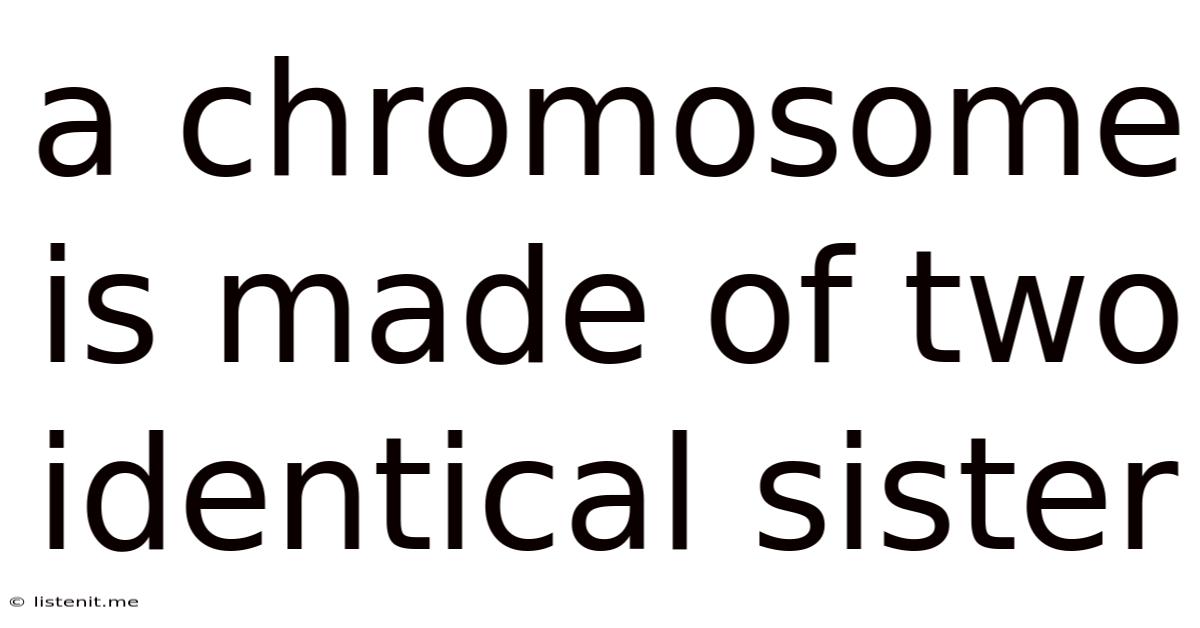 A Chromosome Is Made Of Two Identical Sister