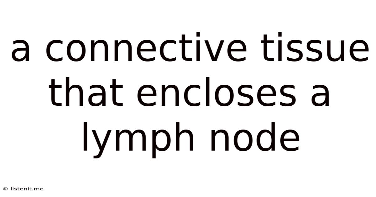 A Connective Tissue That Encloses A Lymph Node