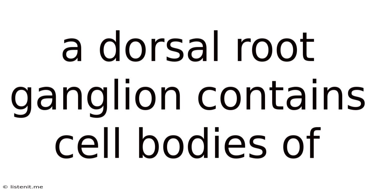 A Dorsal Root Ganglion Contains Cell Bodies Of