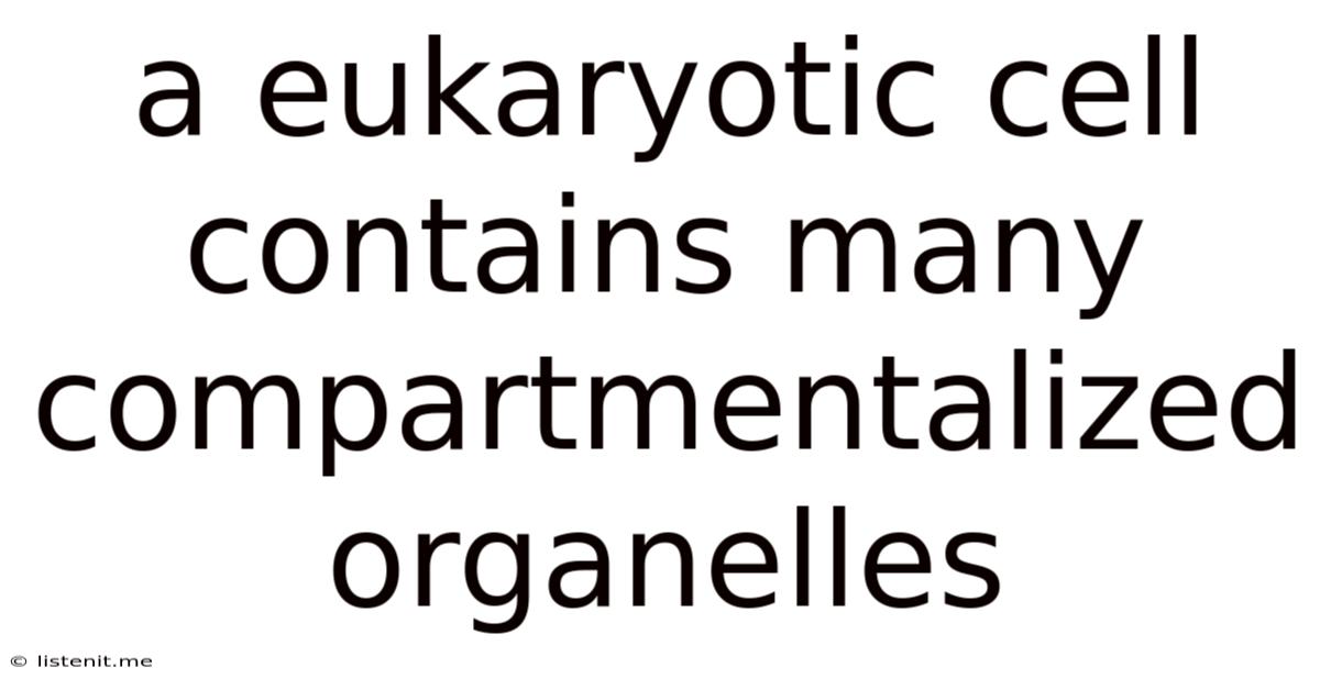 A Eukaryotic Cell Contains Many Compartmentalized Organelles