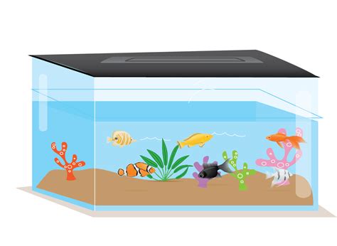 A Fish Tank In The Shape Of A Rectangular Prism