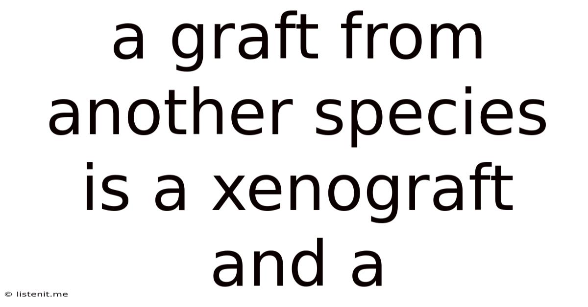 A Graft From Another Species Is A Xenograft And A