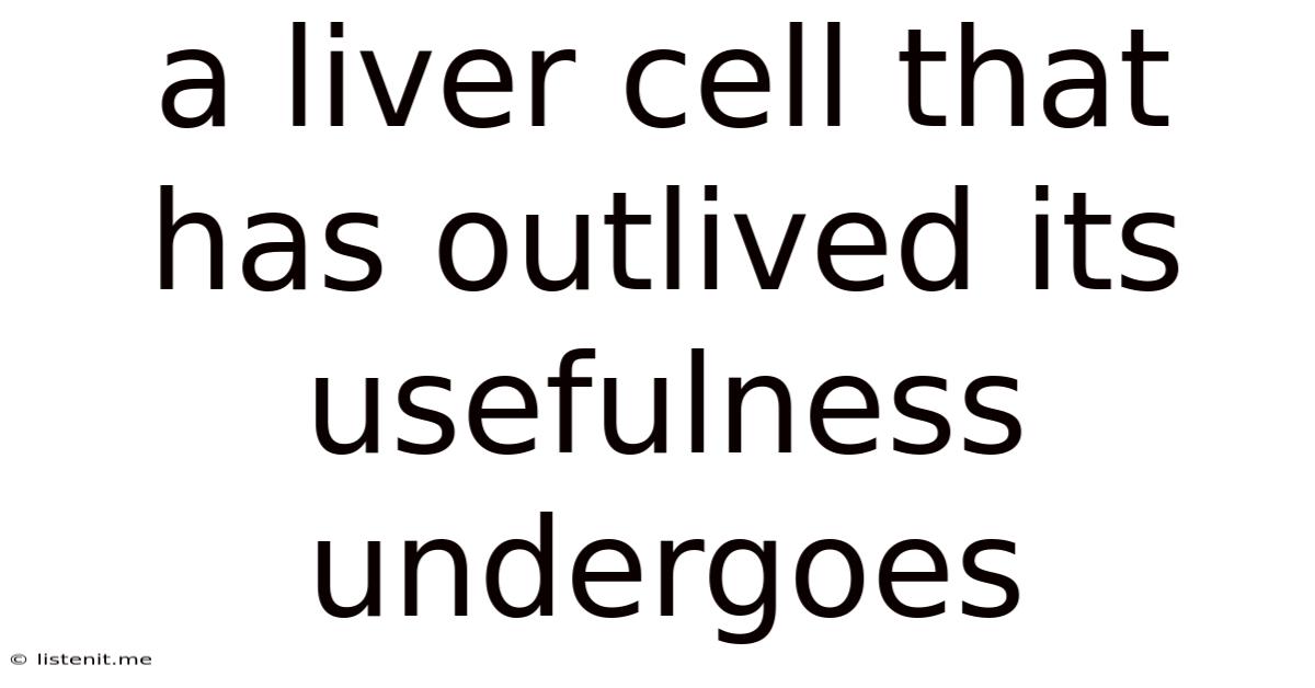 A Liver Cell That Has Outlived Its Usefulness Undergoes