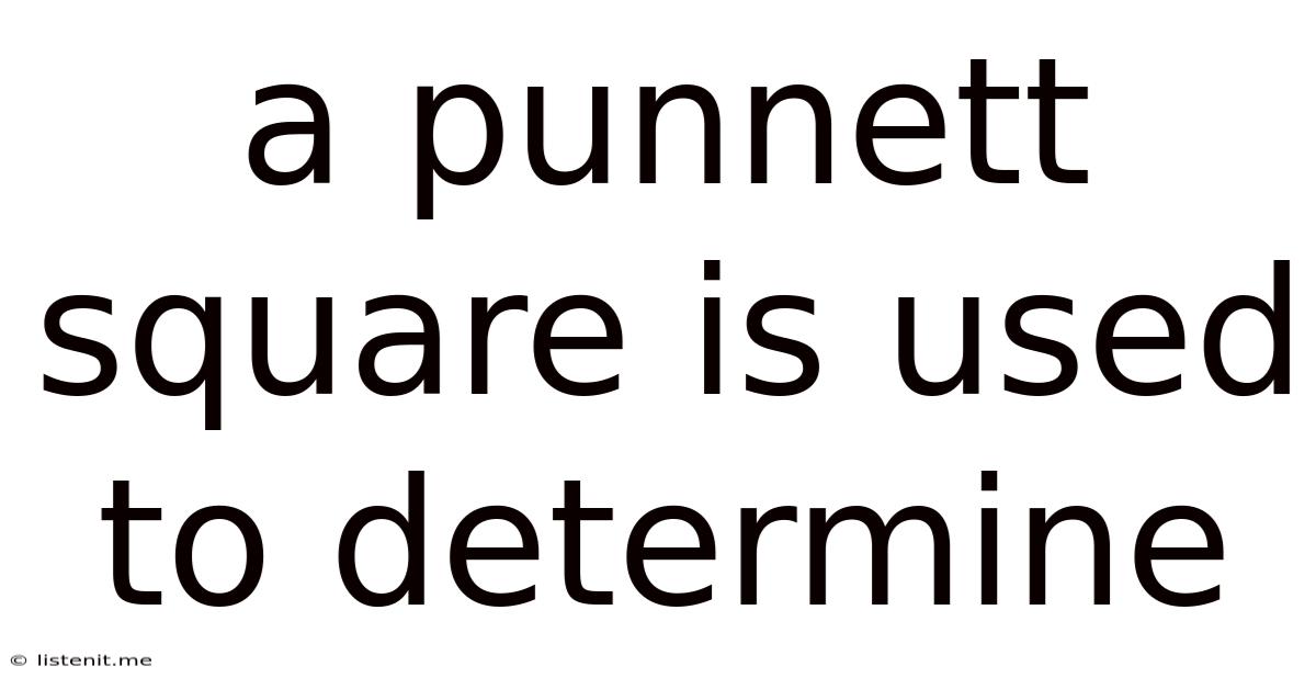 A Punnett Square Is Used To Determine