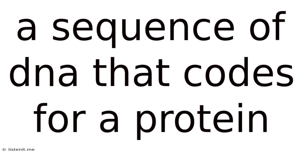 A Sequence Of Dna That Codes For A Protein