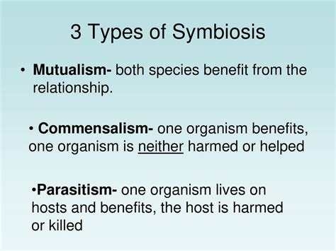 A Symbiotic Relationship In Which Both Species Benefit Is