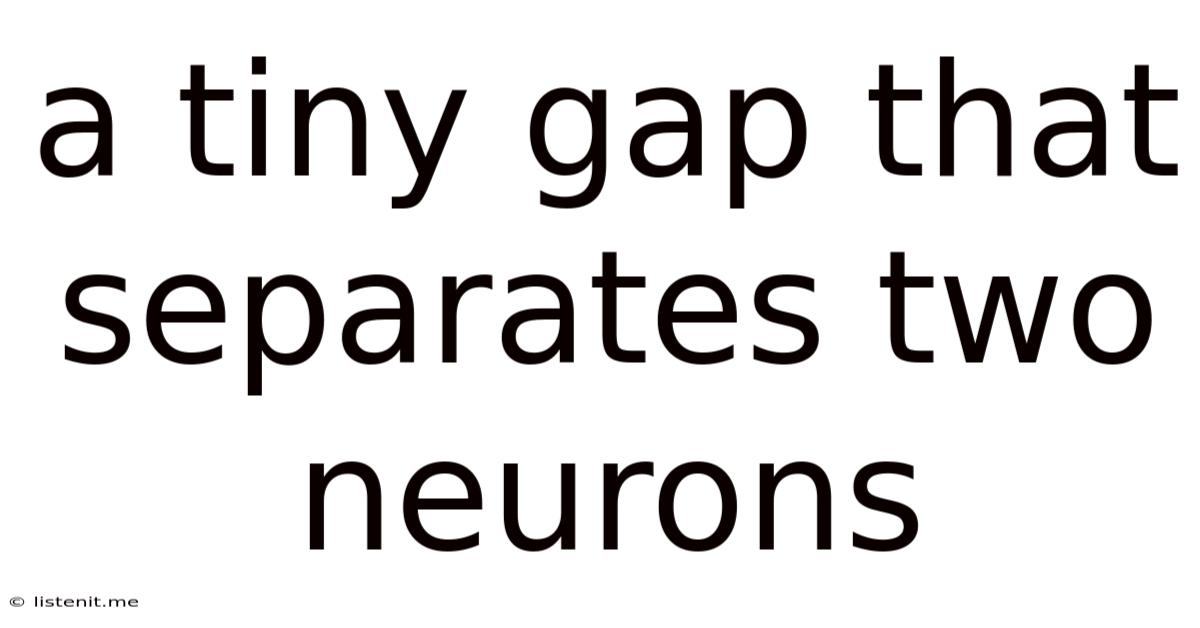 A Tiny Gap That Separates Two Neurons