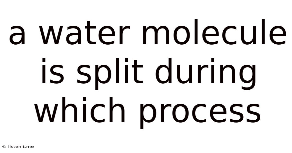 A Water Molecule Is Split During Which Process