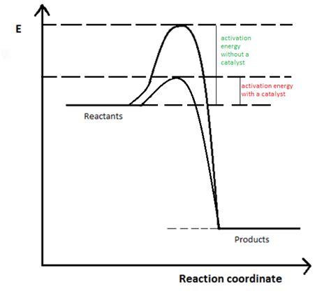 Activation Energy Of A Reverse Reaction