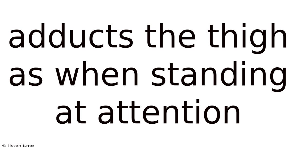 Adducts The Thigh As When Standing At Attention