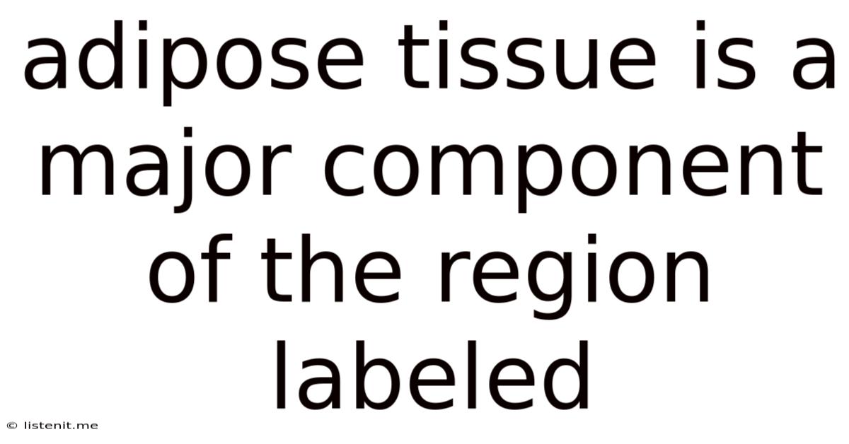 Adipose Tissue Is A Major Component Of The Region Labeled