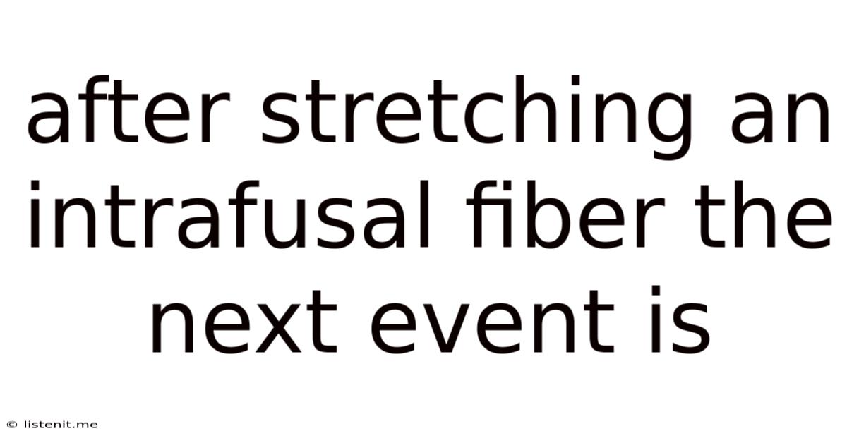 After Stretching An Intrafusal Fiber The Next Event Is