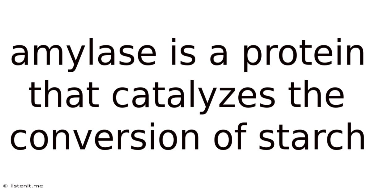 Amylase Is A Protein That Catalyzes The Conversion Of Starch