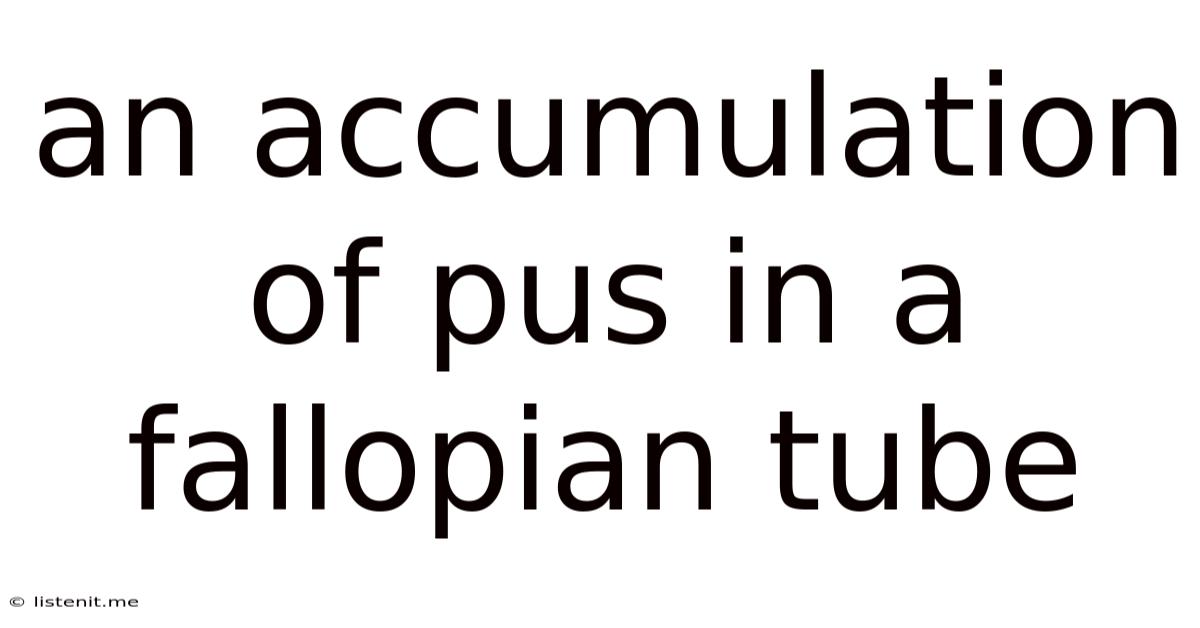 An Accumulation Of Pus In A Fallopian Tube