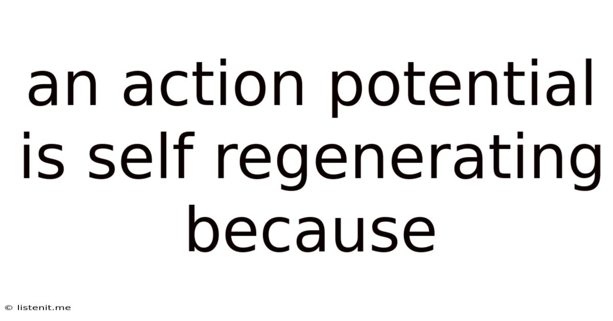 An Action Potential Is Self Regenerating Because