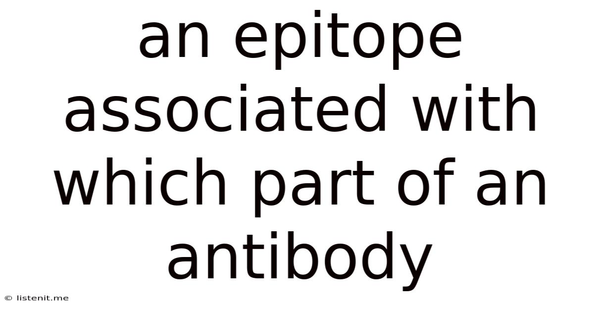 An Epitope Associated With Which Part Of An Antibody