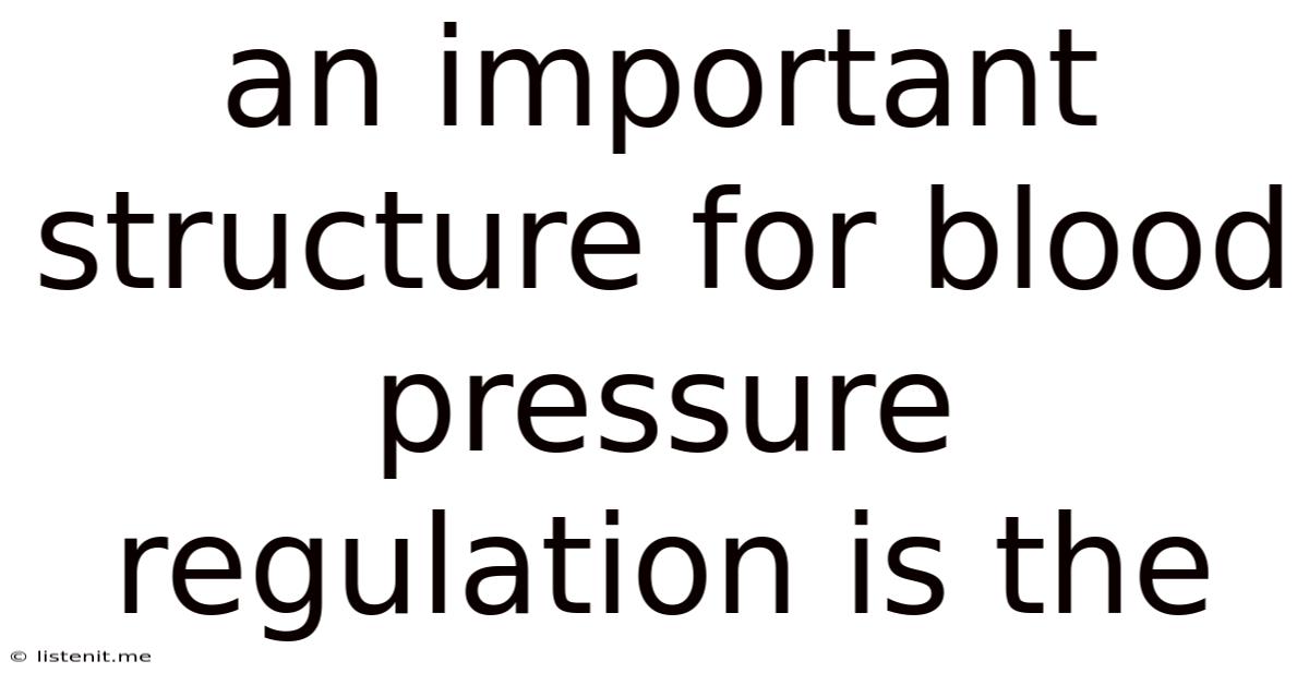 An Important Structure For Blood Pressure Regulation Is The