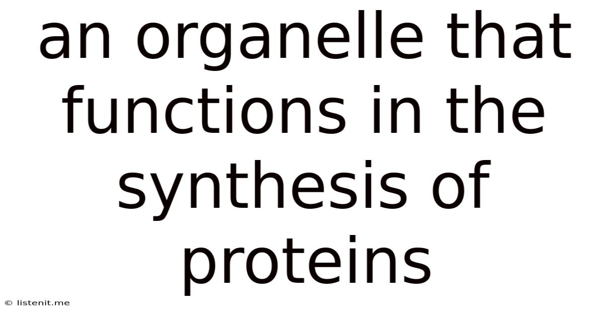 An Organelle That Functions In The Synthesis Of Proteins
