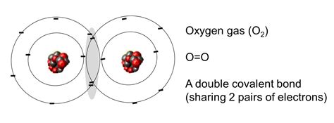 An Oxygen Atom That Has Gained Two Electrons