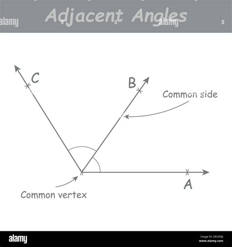 Angles That Share A Vertex And A Common Side Are