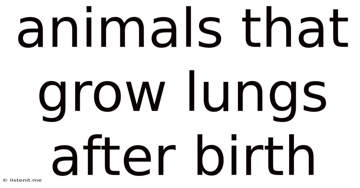 Animals That Grow Lungs After Birth