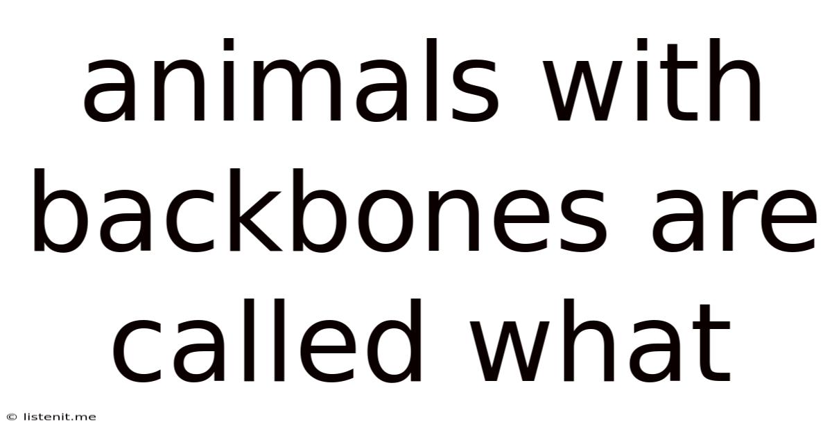 Animals With Backbones Are Called What