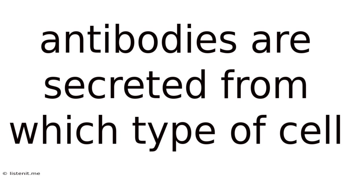 Antibodies Are Secreted From Which Type Of Cell