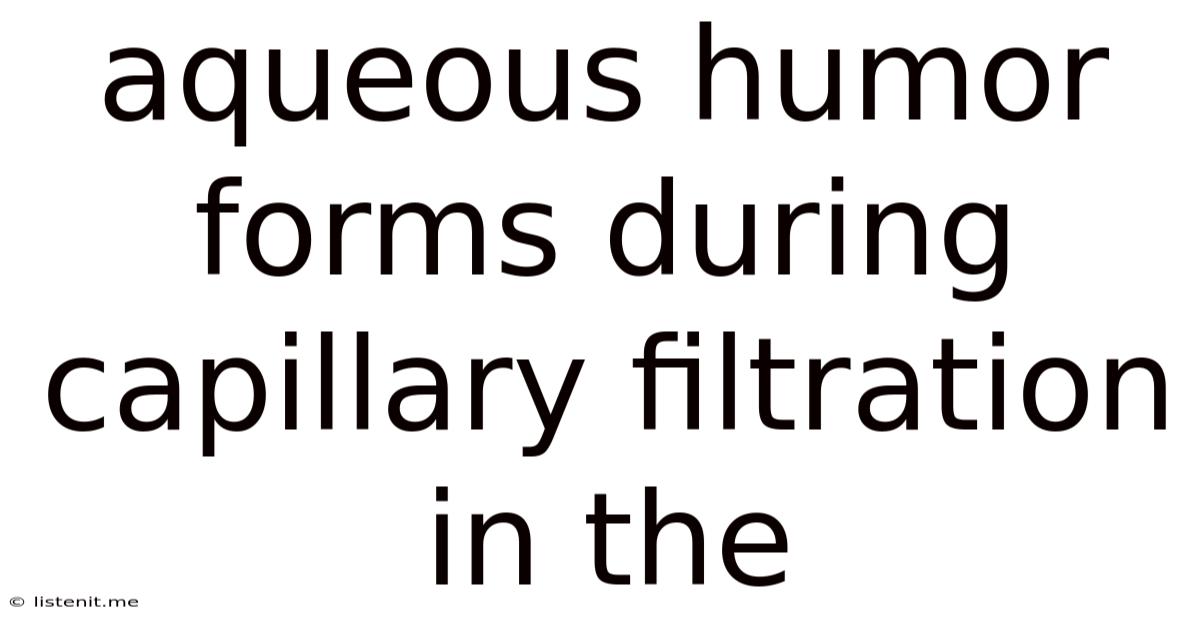 Aqueous Humor Forms During Capillary Filtration In The