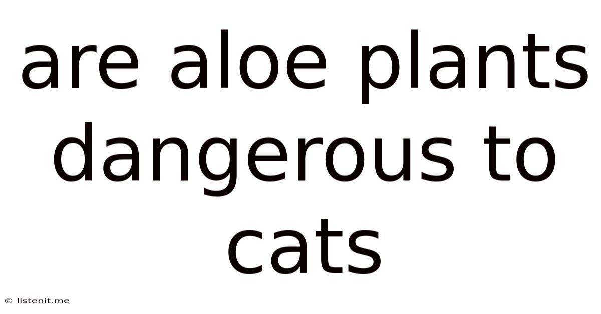 Are Aloe Plants Dangerous To Cats