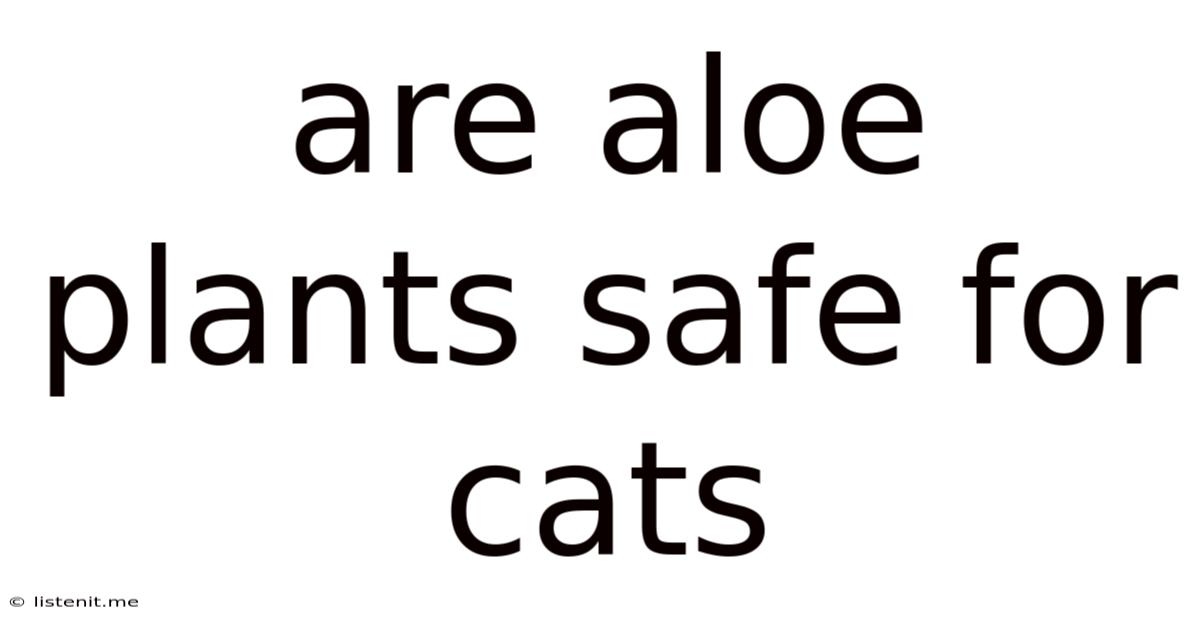 Are Aloe Plants Safe For Cats