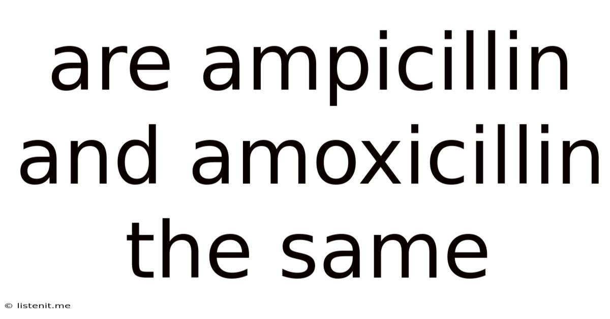 Are Ampicillin And Amoxicillin The Same