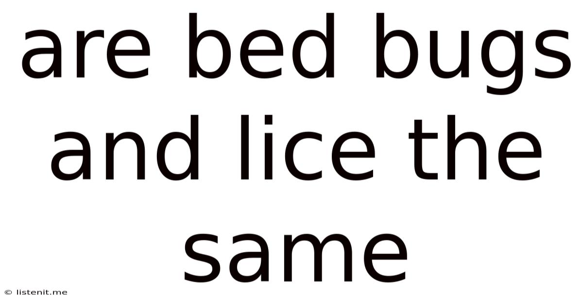 Are Bed Bugs And Lice The Same