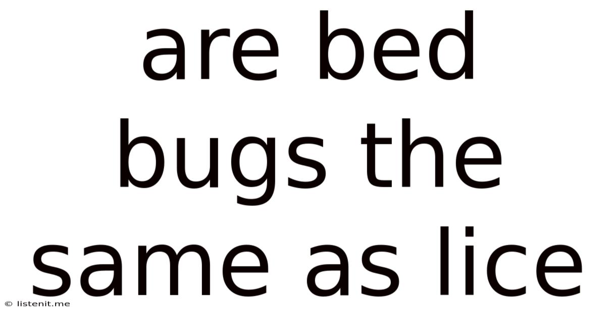 Are Bed Bugs The Same As Lice