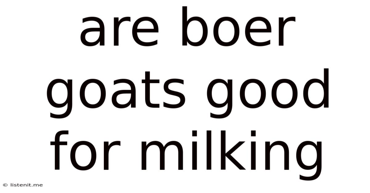 Are Boer Goats Good For Milking