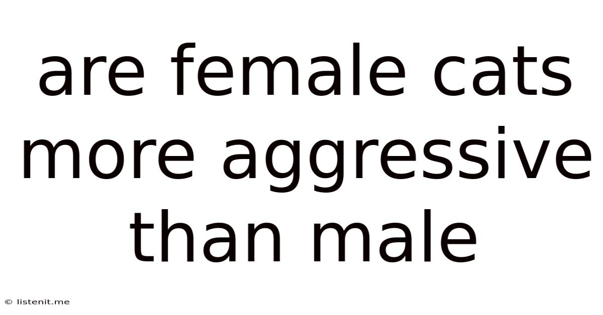 Are Female Cats More Aggressive Than Male