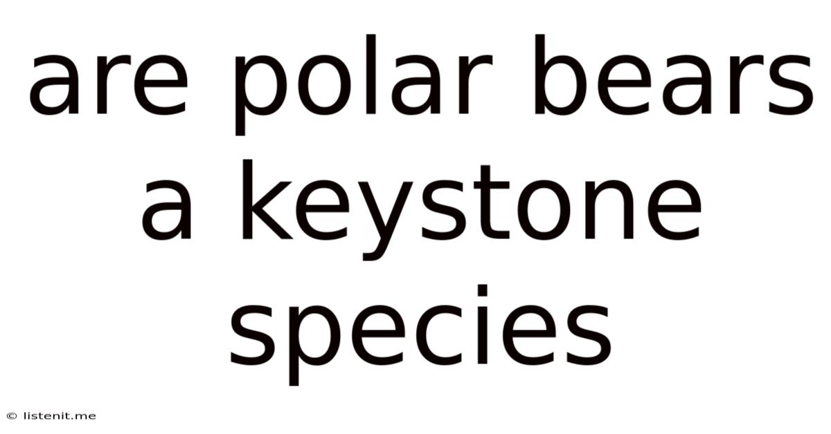 Are Polar Bears A Keystone Species