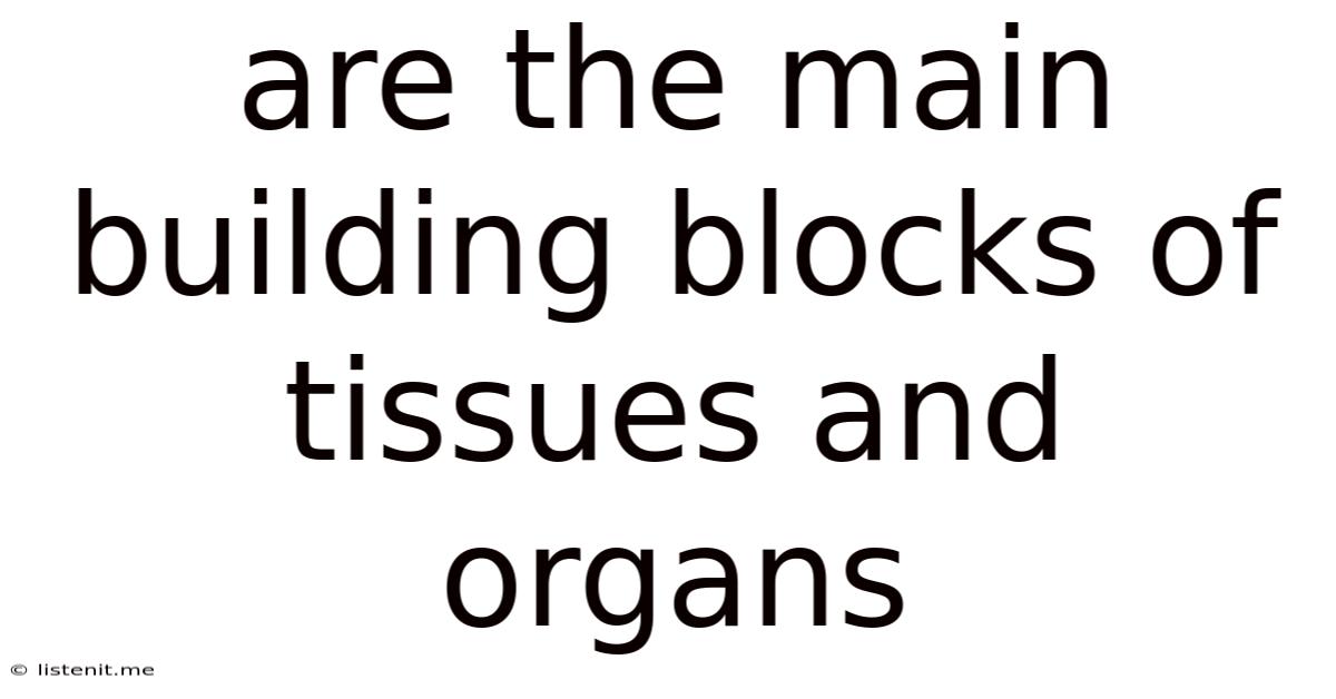 Are The Main Building Blocks Of Tissues And Organs