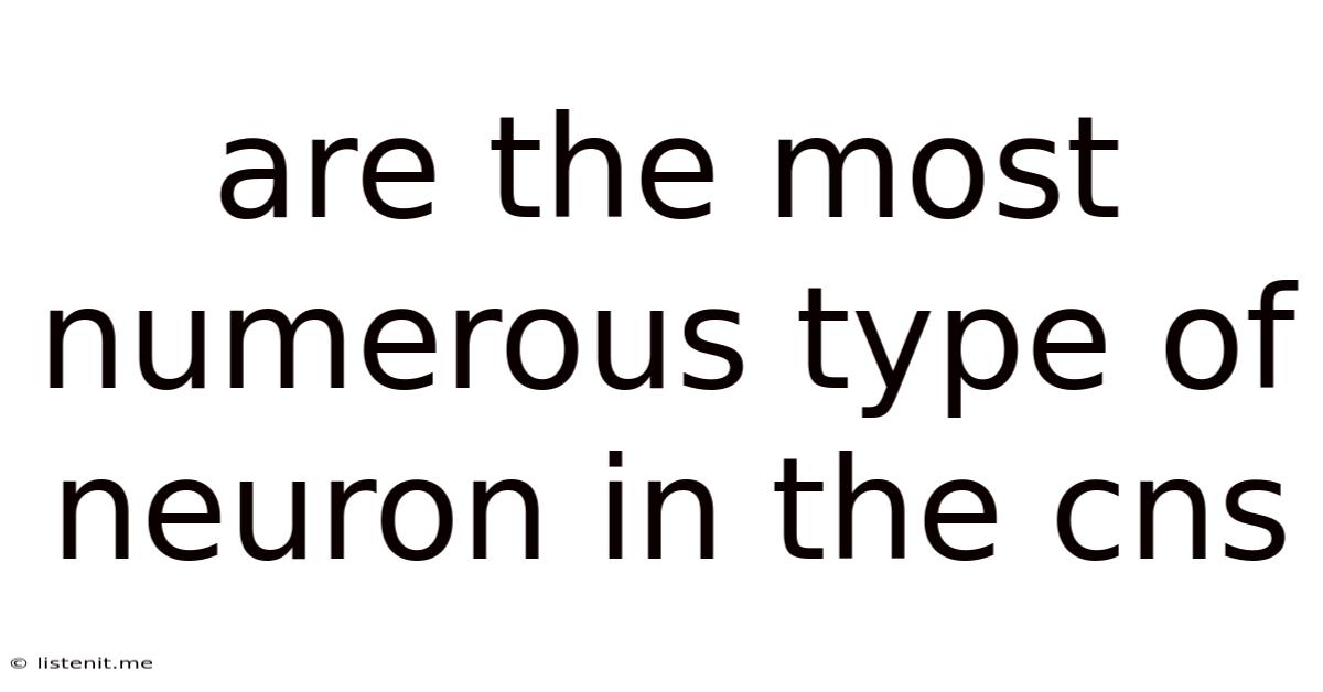 Are The Most Numerous Type Of Neuron In The Cns