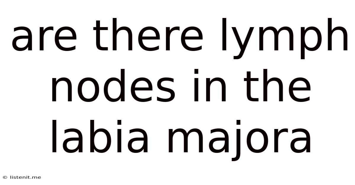 Are There Lymph Nodes In The Labia Majora