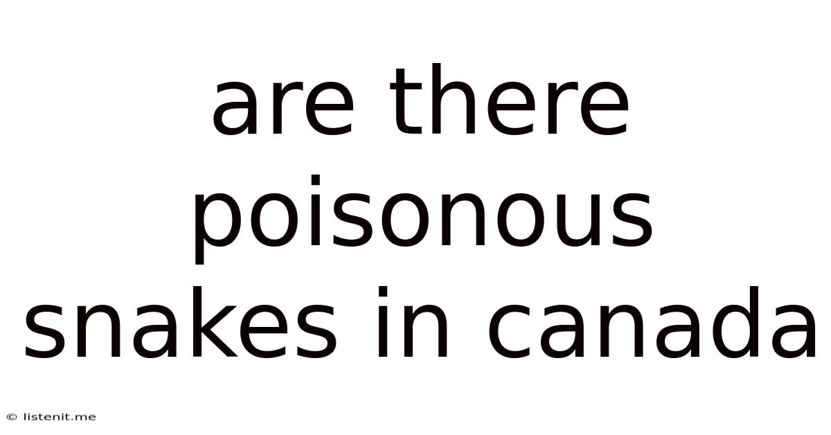 Are There Poisonous Snakes In Canada
