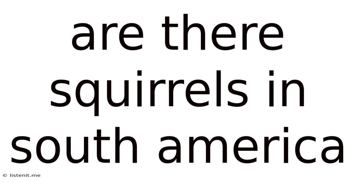 Are There Squirrels In South America