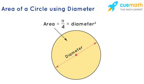 Area Of A Circle With A Diameter Of 8