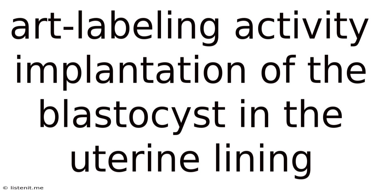 Art-labeling Activity Implantation Of The Blastocyst In The Uterine Lining