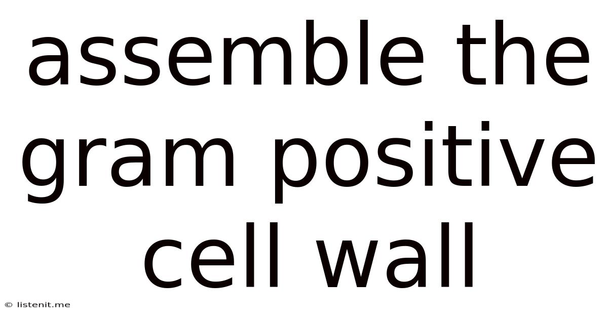Assemble The Gram Positive Cell Wall